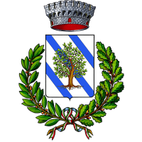 Comune Rizziconi